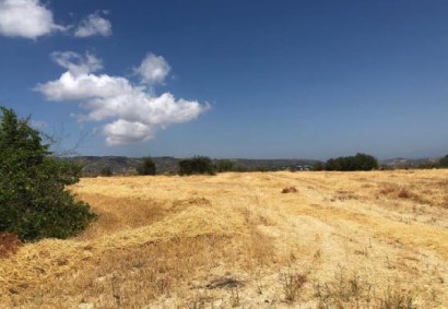 Stroumpi Pano, Paphos Farmgrundstücke zum Kaufen | C8364