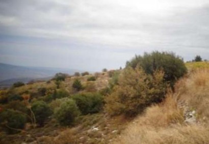 Koilineia, Paphos Farmgrundstücke zum Kaufen | C8382