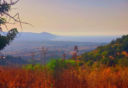 Peristerona Pafou Wohngrundstücke zum Kaufen | BK9045