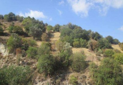 Kallepeia, Paphos Farmgrundstücke zum Kaufen | C11057