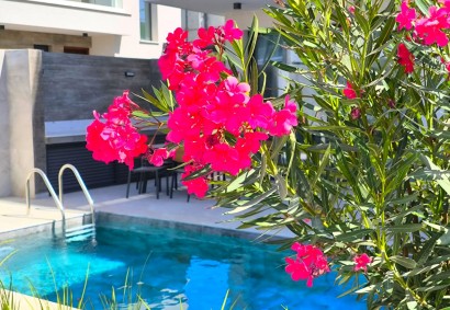 Pegeia, Paphos Freistehende Villa zum Kaufen | TRK10603