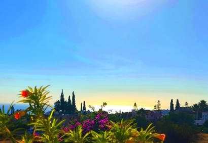 Pegeia, Paphos Freistehende Villa zum Kaufen | C11734